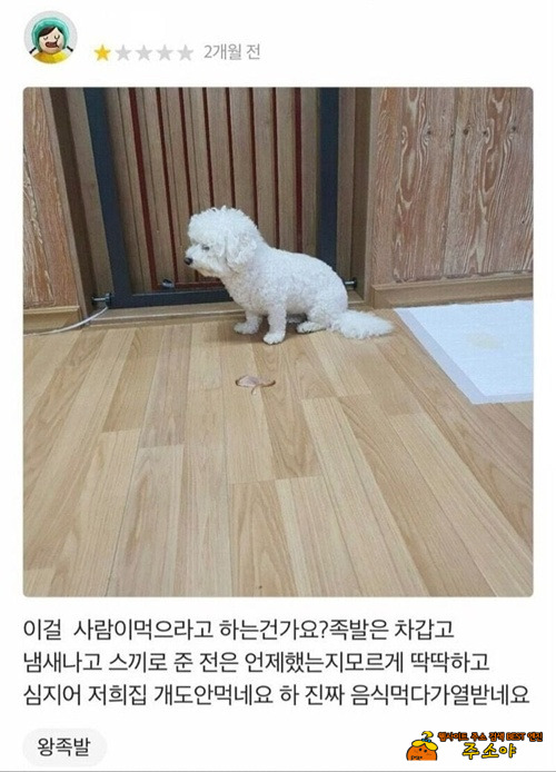 별 하나짜리 리뷰 별 하나짜리 리뷰